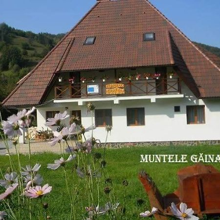 Pensiunea Muntele Gaina Tarsa  Εξωτερικό φωτογραφία